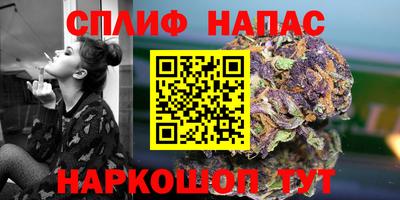 шишки Пенза