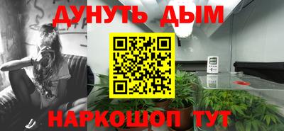 шишки Пенза