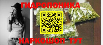 шишки Пенза