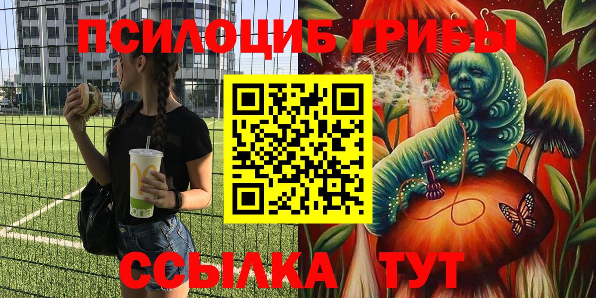 Галлюциногенные грибы Psilocybine cubensis Уссурийск