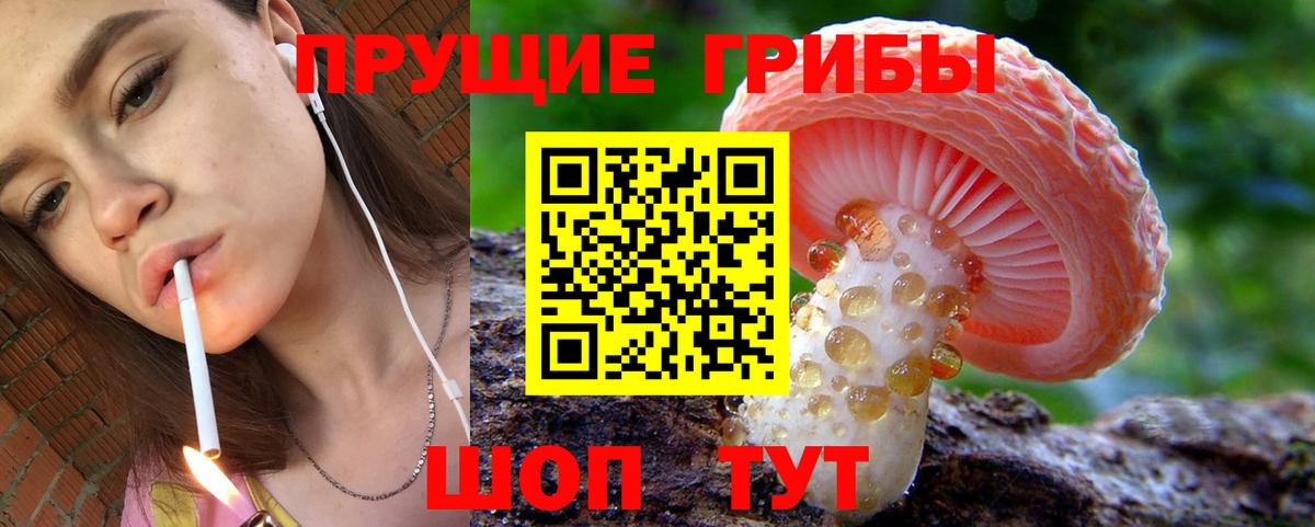 Галлюциногенные грибы Psilocybe  Вход с VPN  Уссурийск 
